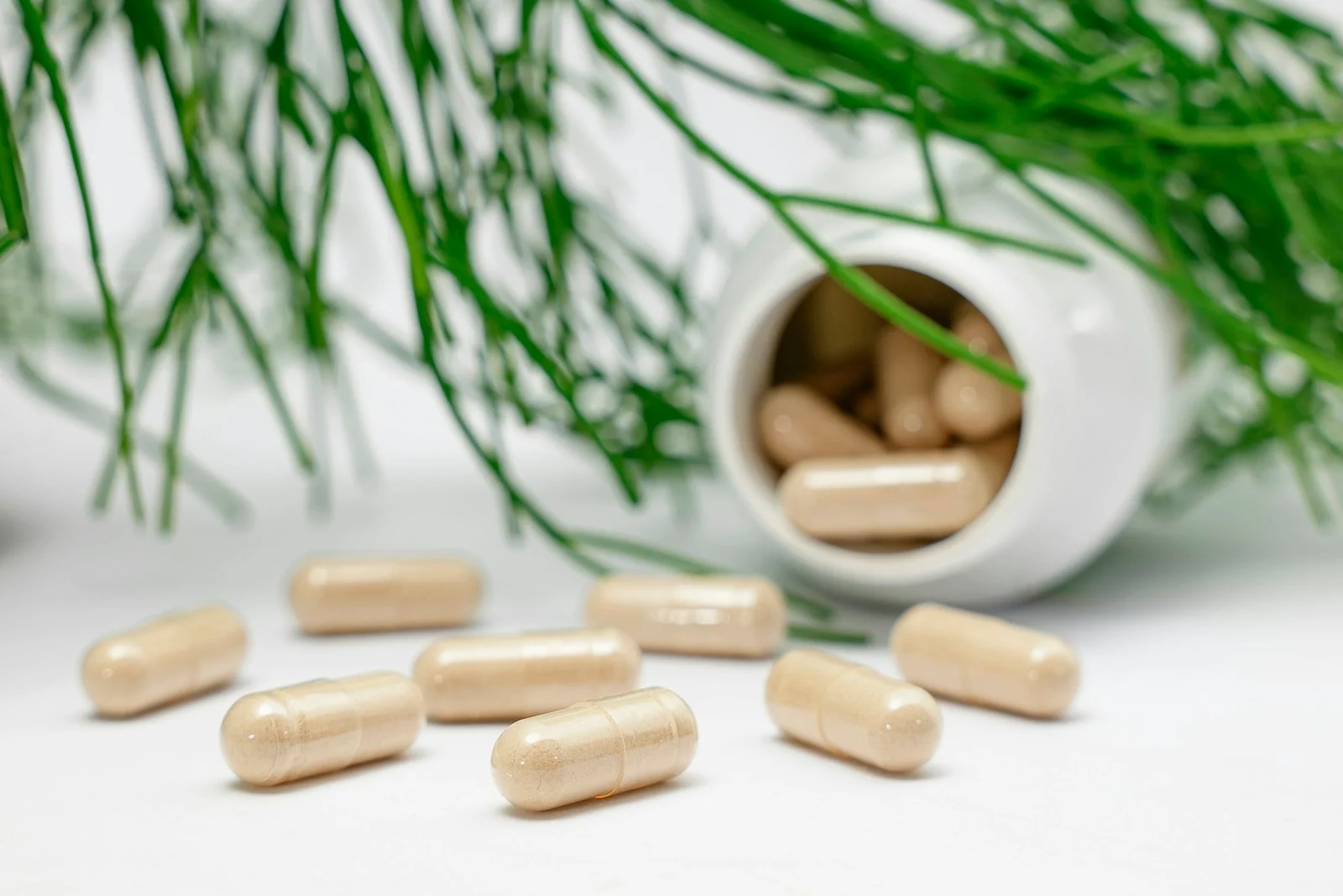 TestoFuel vs TestoPrime: Dosage-by-Dosage, What the Label Really Says