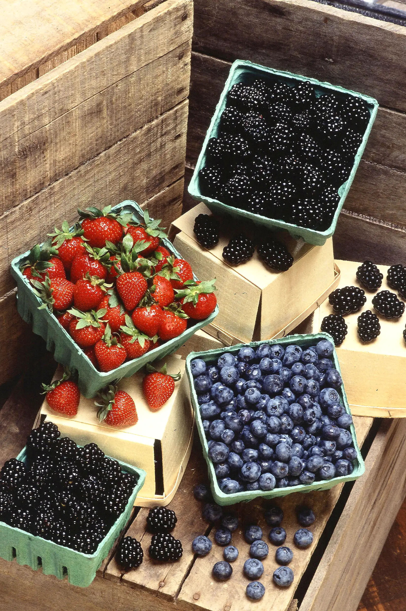 Foods That Support Your Lymphatic System (and the Ones That Work Against It)